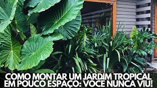 COMO MONTAR UM JARDIM TROPICAL EM POUCO ESPAÇO DICAS FÁCEIS E INCRÍVEIS [upl. by Ronoc822]