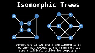 Identifying Isomorphic Trees  Graph Theory [upl. by Haggi]