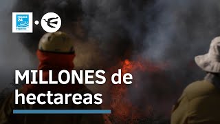 Más de 10 millones de hectáreas de bosque en Bolivia han sido arrasadas por los incendios [upl. by Ynnek]