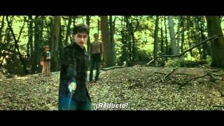 Harry Potter Y Las Reliquias De La Muerte Parte 2  Clip quotDonde Lo Dejamosquot Subtitulado  FULL HD [upl. by Herzel483]