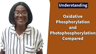 Oxidative Phosphorylation and Photophosphorylation Compared [upl. by Derr]