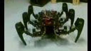 Phoenix a hexapod robot [upl. by Chavey]