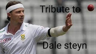 Tribute to Dale steyn [upl. by Sorgalim]