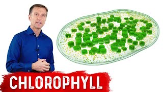 9 Proven Benefits of Chlorophyll [upl. by Vincentia]