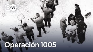 Cómo los nazis borraron sus crímenes  DW Documental [upl. by Rufford]