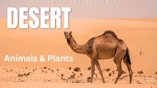 Desert I Animals amp Plants I Class 8 I Science I Nature documentary I Wildlife [upl. by Zere69]