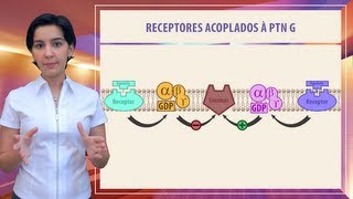 Farmacologia 02  Aspectos moleculares dos fármacos Parte 1 [upl. by Nivak]