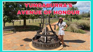 VISITING YUNGABURRA’S AVENUE OF HONOUR AGAIN  atemilesdiary [upl. by Nyliahs]