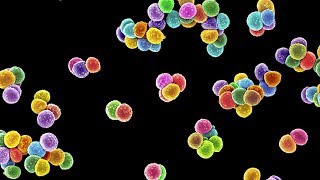 5 Facts About Antibiotic Resistance [upl. by Carlene]