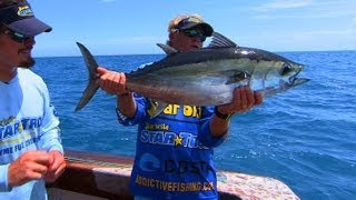 Fly Fishing Offshore for Blackfin Tuna in Key West Florida [upl. by Paske]