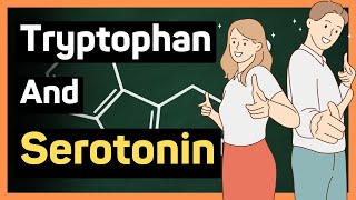 Benefits of Tryptophan and Serotonin  Dosage  Rich Foods [upl. by Burrow]