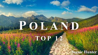 12 Best Places To Visit In Poland  Poland Travel Guide [upl. by Cordova]