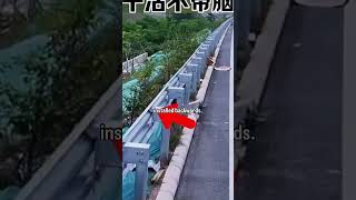 Chinas dangerous corner cutting [upl. by Muhan]