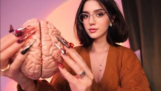 ASMR Brain Melting Triggers to Help You Sleep [upl. by Hanahsuar]