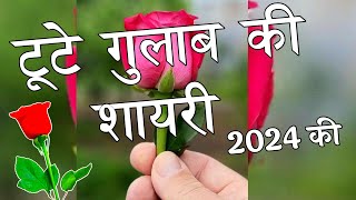 टूटे गुलाब की शायरी 2024 🌹Tute Gulab Ki Shayari 🌹 Gulab Shayari [upl. by Shara]