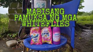 MABISANG PAMATAY PARA SA WHITE Flies SA ATING TALONG [upl. by Harmonie573]