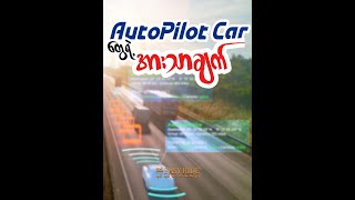 AutopilotCarတွေရဲ့အားသာချက် [upl. by Peonir356]