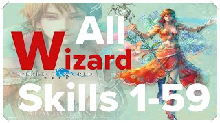 Perfect World International  All Wizard skills 159 [upl. by Allemac]