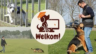 Online hondenschool  Gratis cursus honden trainen [upl. by Dianuj]