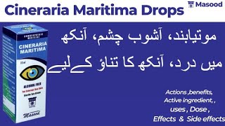 Masood Cineraria maritima eye drops Homeopathic medicine benefits  Cineraria maritima drops uses [upl. by Wyon]