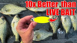 this New Lure OUT FISHES Live Bait 10 to 1 BEST Crappie amp Bass Winter Bait [upl. by Rochester]