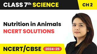 Nutrition in Animals  NCERT Solutions  Class 7 Science Chapter 2  CBSE 202425 [upl. by Clabo]