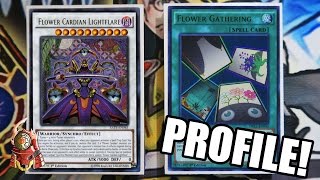 YUGIOH BEST FLOWER CARDIAN DECK PROFILE INDEPTH EXPLAINED FTHANKO POST RATE March 2017 [upl. by Ahsuatal]