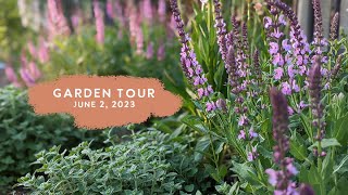 Early June Garden Tour [upl. by Gustavus216]