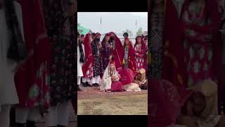 gojri culture in Jammu and Kashmir [upl. by Sarid]