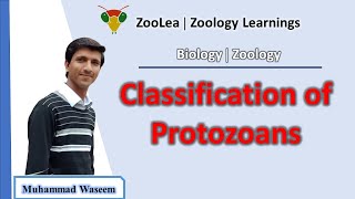 Classification of protozoans  ZooLea  Lesson 3  Biology Zoology [upl. by Haven]