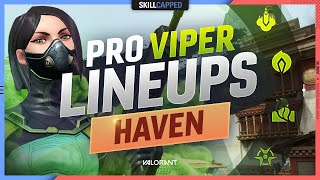 The BEST PRO VIPER LINEUPS SPOTS amp SETUPS For HAVEN  Valorant Tips Tricks and Guides [upl. by Oine]