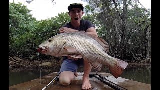 Full Season of Mangrove Jack Fishing Tips Everything I Learnt [upl. by Winfield]