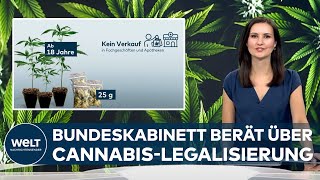 CANNABISLEGALISIERUNG IN DEUTSCHLAND Bundeskabinett berät über Gesetz  Viel Kritik [upl. by Gerry156]