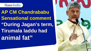 AP CM Chandrababu Sensational comment “During Jagans term Tirumala laddu had animal fat” [upl. by Fougere]