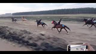 Mpumalanga Daggakraal Grade 1 08092024 traditionalhorseracing horse horseracing horseriding [upl. by Hammel386]