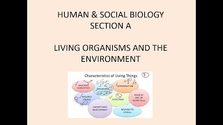 HSB Characteristics of Living organisms CXC [upl. by Aiekan]