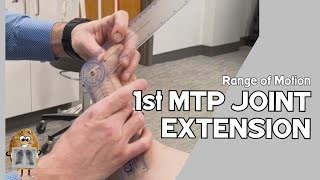 ROM Metatarsophalangeal MTP Joint I Extension Active amp Passive Range of Motion [upl. by Tnarg98]