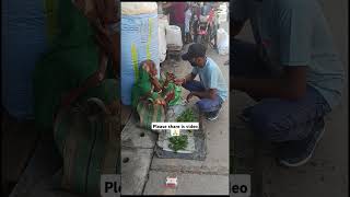 Antiki muskurahat 🙏❤💯 poorpeople helping humanity respect trending viralvideo likeyoutubeshorts [upl. by Vareck]