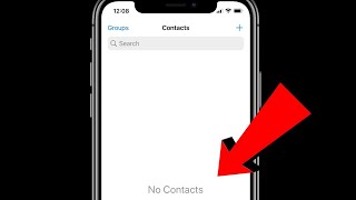 iPhone Contacts MissingDisappeared after iOS Update Fixed [upl. by Enohpesrep14]