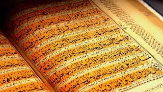 Full Quran 1 30 Para সু মধুর কন্ঠে সম্পূর্ণ ৩০পারা কোরআন তেলাওয়াত। al quran quran explorer [upl. by Anelagna926]