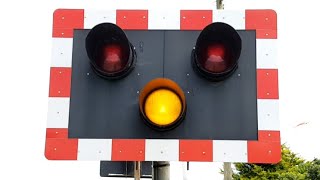 Broken Alarm at LyddonSea Hull Road Level Crossing Kent [upl. by Canotas370]