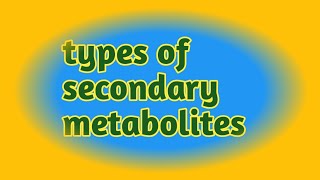 types of secondary metabolites  terpenesphonolic compoundnitrogen cantaining compound csir net [upl. by Allebara]