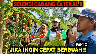 INI KUNCINYA ‼️ JIKA INGIN CEPAT BERBUAH ‼️ PELATIHAN BUDIDAYA DURIAN  PART 2 [upl. by Ofilia]