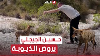 حسينالجيجلي يرافق عبد الحميد في مهمة خاصة  إطعامالذئاب البرية شاهدوا [upl. by Luca]