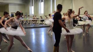 Tessa Faulkens reports about Swan Lake by the Butler Ballet [upl. by Kerstin]