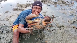 GIANT CRAB CATCH amp COOKGRABE Ang LAKI napasigaw Ang KASAMA ko sa LAKI ng alimango na ito [upl. by Avalsorim]