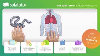 Zentrales und peripheres Nervensystem – Definition amp Funktion [upl. by Meekar]