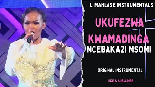 Ncebakazi Msomi  Ukufezwa kwamadinga  Instrumental [upl. by Etnaled59]