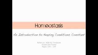 Introduction to Homeostasis [upl. by Ethelda]