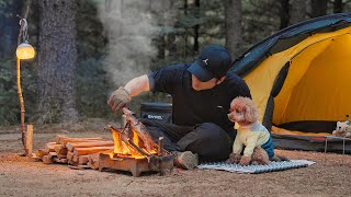 Solo Camping in Forest with My Dog  Roast leg of lamb in the Wild  Wood Stove ASMR [upl. by Sutniuq]